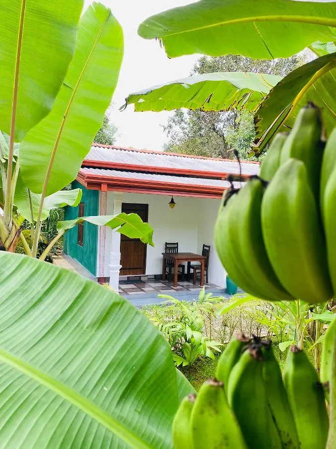 Guest house The Hutt Habarana Hotel Sri Lanka